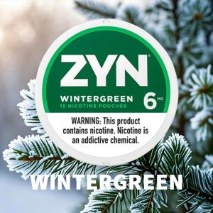 ZYN Wintergreen 6mg