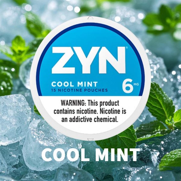 ZYN Cool Mint 6mg